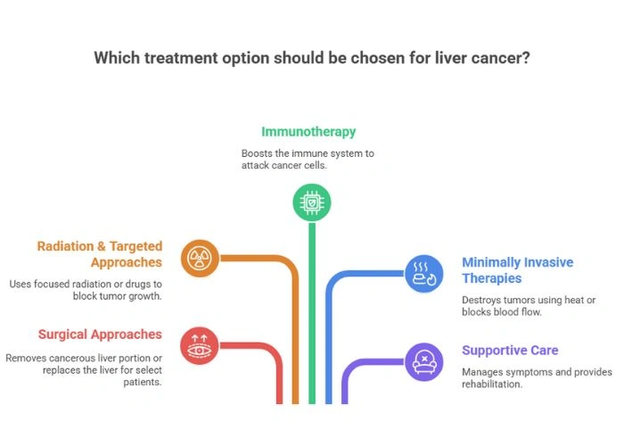 Treatment Options for Liver Cancer
